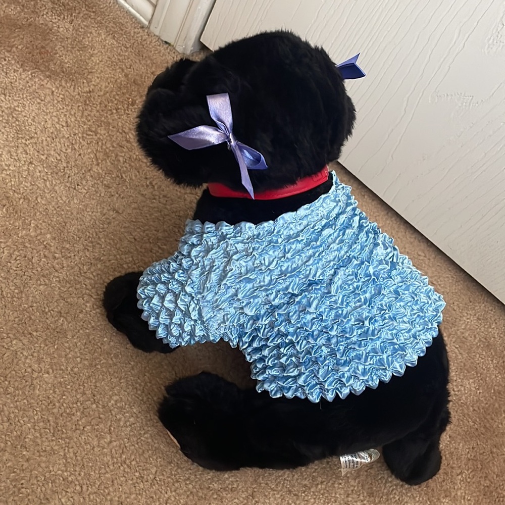 Build a bear - Picture 3 of 4
